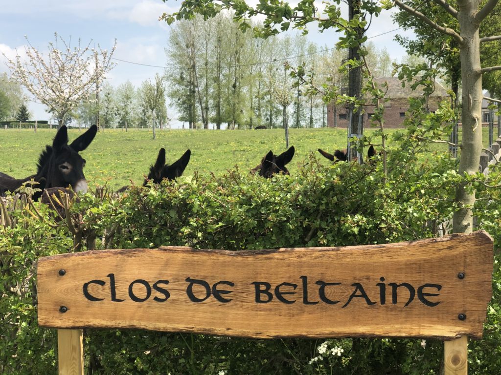 Clos de Beltaine - Elevage d'ânes Grand Noir du Berry